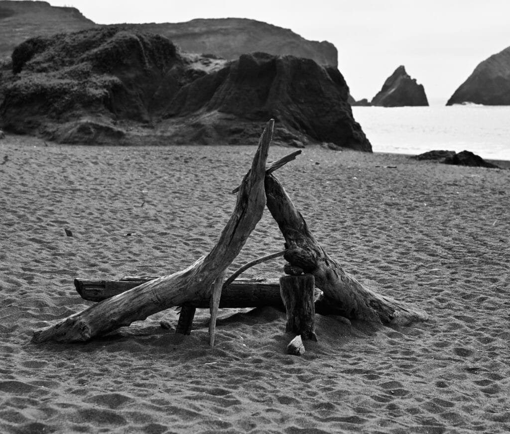 Driftwood sculpture