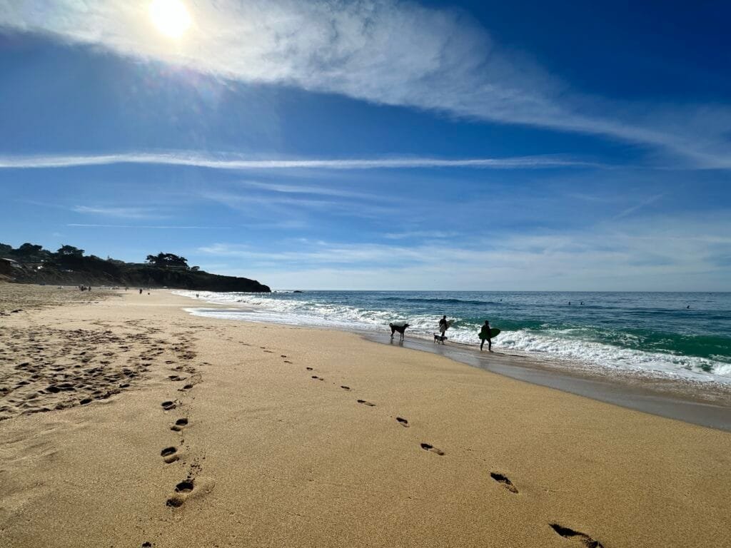 Sun, sand, surf