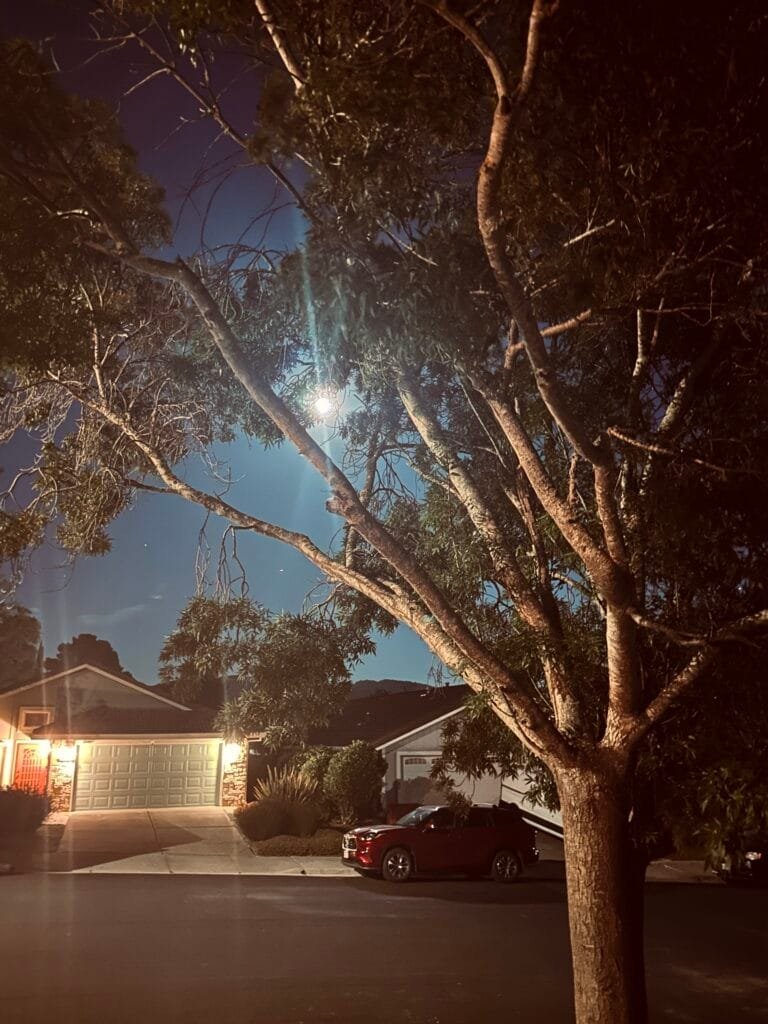 Full Moon