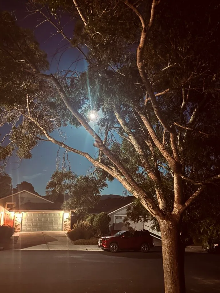 Full Moon